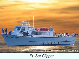 Pt. Sur Clipper